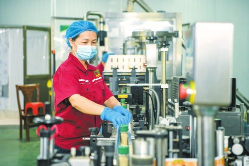 海口大坡胡椒俏销国内外市场在线打包忙
